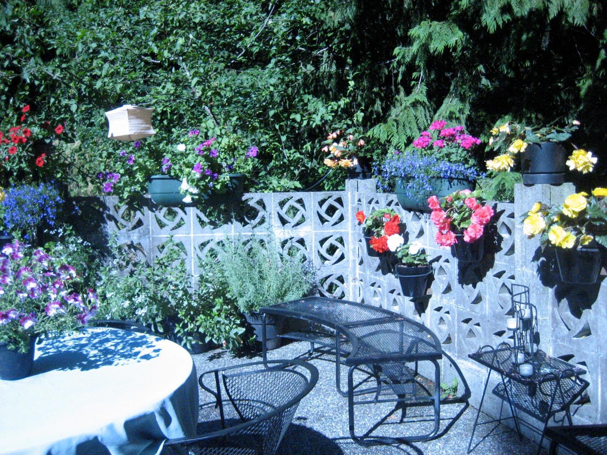 Misty Meadows B&B Лангфорд Экстерьер фото