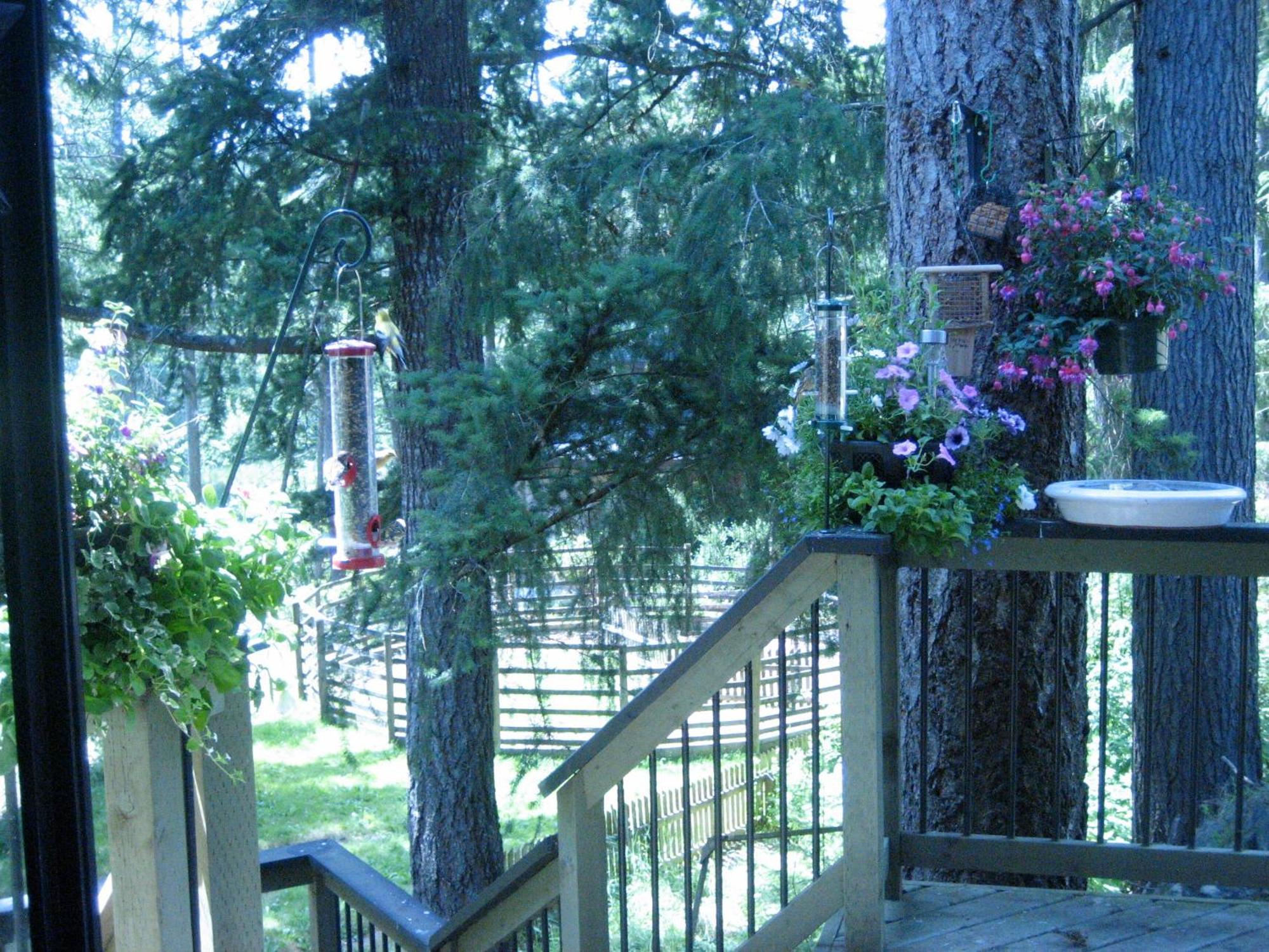 Misty Meadows B&B Лангфорд Экстерьер фото